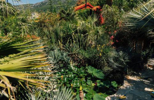 Villa Tropica, total privacy, tropical garden and private pool - Photo 63