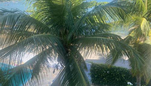 Porto dos Milagres Sunset - Foto 3