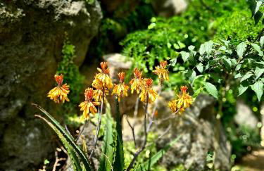Etna panoramic villa with swimming pool - Foto 24
