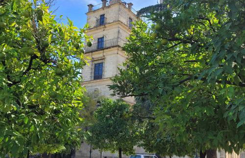 Jerez Centro Historico - Foto 80