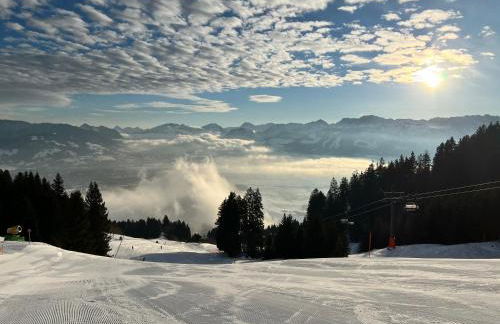 Das Vogelnest - Foto 16