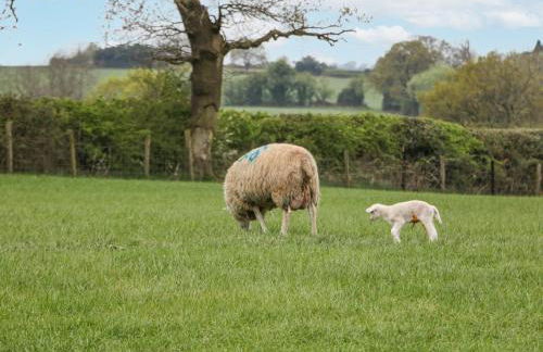 Barnfields Holiday Cottage - Foto 27