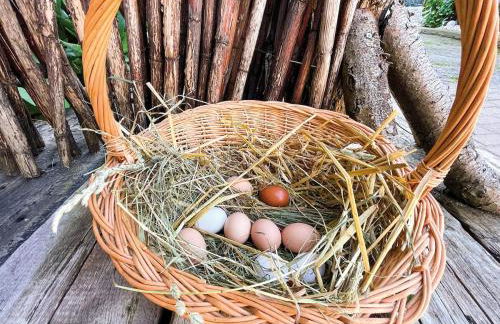 Traumhaftes GARTENLOFT - Photo 23