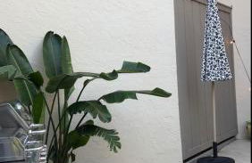 Beachside Modern Wellness Villa with Spacious Patio - Photo 27