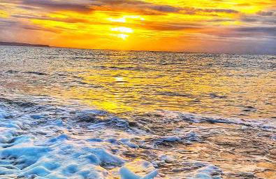 Sea Breeze Lodge - Photo 16