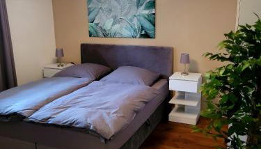 Ruhiges Studio I Nähe WHU I WLAN - Foto 3