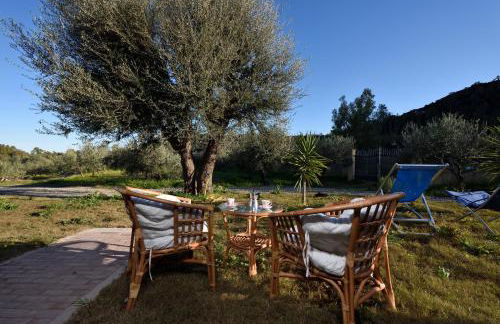 Armandiola - Foto 30