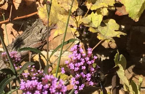 Kranichhof - Studio, Loft & Atelier - Photo 79