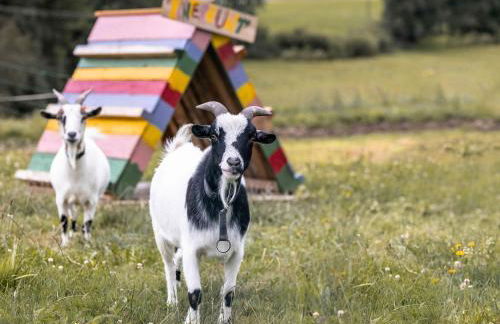 Ferienhof Jakob Rohrhof - Foto 2