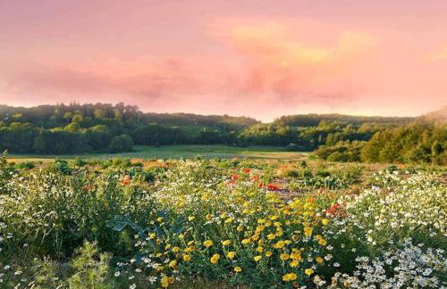 Comfortable holiday home with a private garden - Foto 54