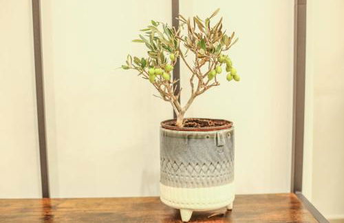 Modern and Luxury apartment - Foto 24