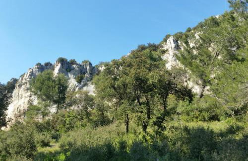 L'Orgalière Alpilles - Foto 37