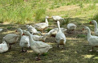 Apartamenty nad morzem Przy klifie 3 Dębina - Foto 58