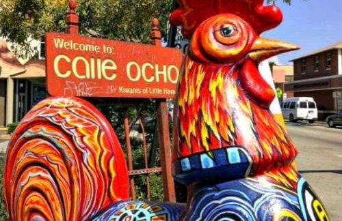 Relax 521 - Photo 47