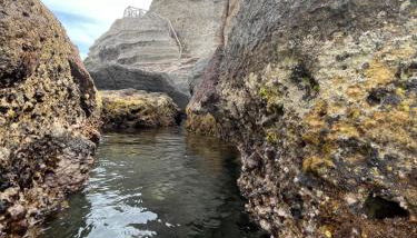 Casa vista Castello - Foto 3