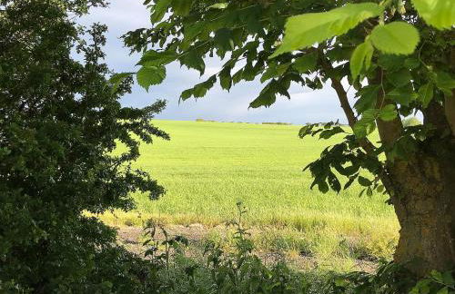 Meadow Lodge - Foto 19