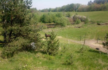 Domek Zielenina - Foto 34