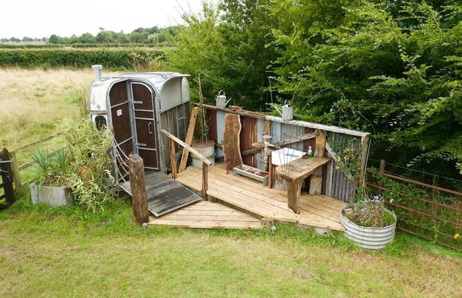 Little Lodge Glamping - Foto 25
