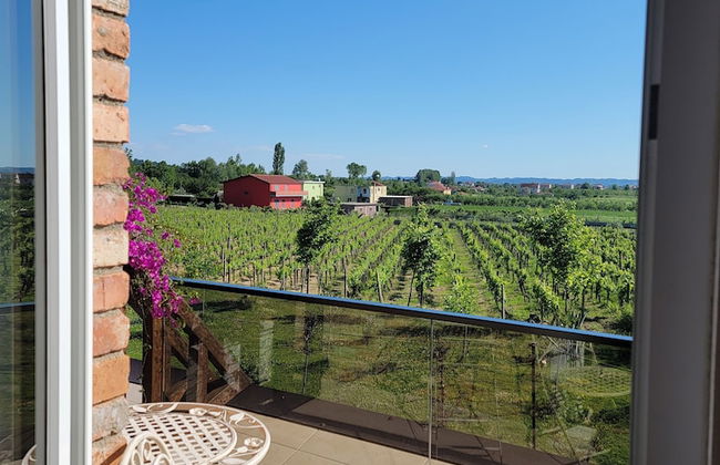 Lahuta e Vjetër Agroturizëm - Foto 54