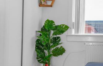 Free Parking - Central - Sleeps 6 - 2 Bedrooms - Foto 34