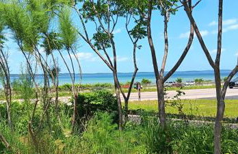 Blū House - Foto 34