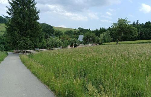 Skała i Las - Foto 15