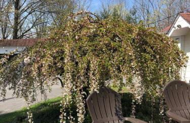 20 min Woodbury Outlet & USMA 35 min Mt Creek - Foto 56