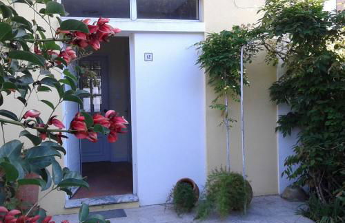 Friends'house - azores - Foto 27