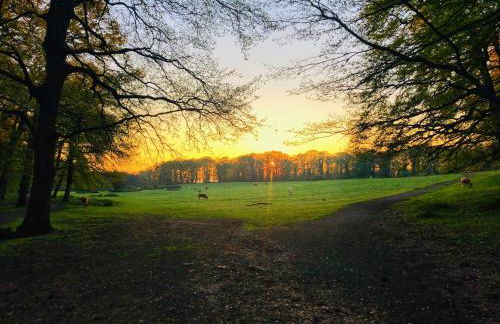 Il Piano di Mezzo - Foto 17