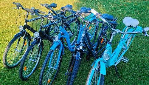 Przystań Nad Miążką - Foto 4