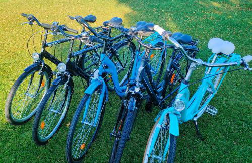 Przystań Nad Miążką - Foto 4