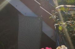 Ferienwohnung in Radeberg bei Dresden - Foto 20