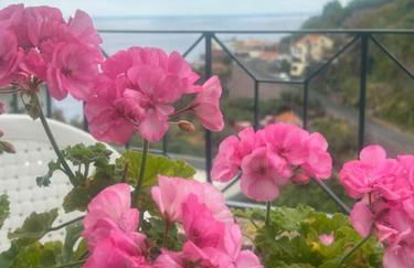 Casa do Pico - Foto 17