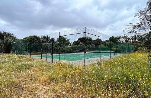 Monte da Tarouca no Alto Alentejo - Foto 47