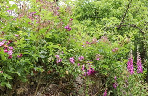 Oast Cottage - Foto 40