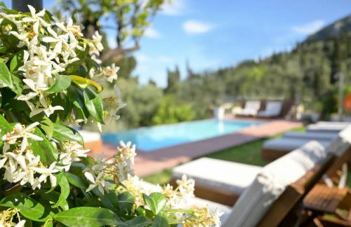 Gina Studios - Foto 6