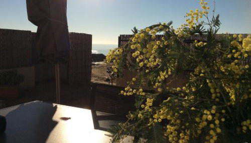 Les Pieds dans l'Eau - Foto 2