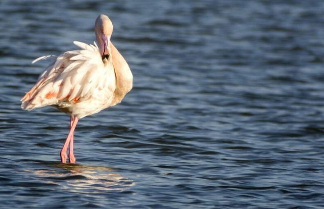 Apartments Princess Valdanos - Foto 61