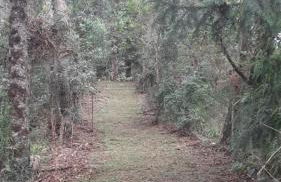 Chalé Lavanda - Espaço Garden Margarida - Foto 31