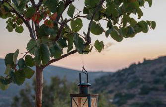 Demati house - Photo 9