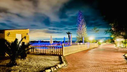 Casa pajarera - Foto 3