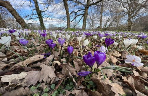 Mole Cottage - Foto 130