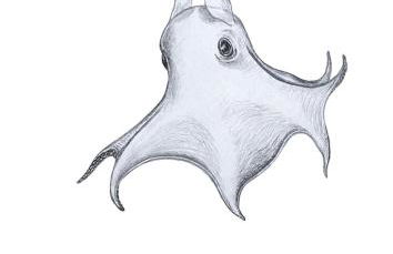 sea dreams l Design-Ferienwohnung #Octopus Seapearl - am Hauptbahnhof Schwerin - Foto 35