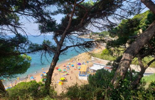 Apart.3 habit.mar-mont. AC-Terraza-ascensor-parking - Foto 25