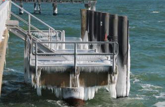 Forsthaus Wendt - Foto 34