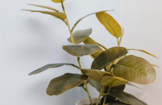 Barry Island Beachfront Apartment - Stunning Bay Views and Private Parking - Foto 12