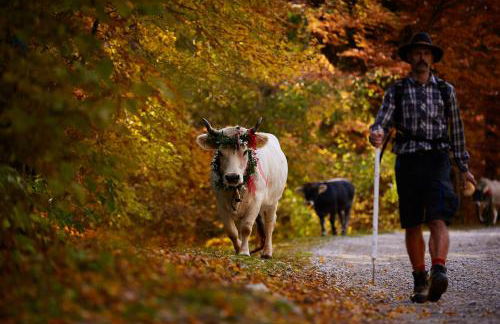 Le Terre di Gu - Photo 48
