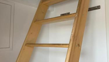 Pfalzkinder - Foto 5