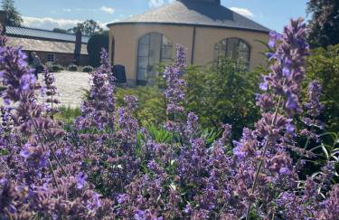Two Bedroom Country Cottage in County Durham with Village Pub and Free Parking For Holidays and Work Stays - Foto 29