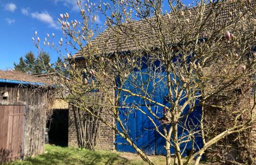 Naturidylle mit Kamin und Sauna in der Schorfheide - Foto 8